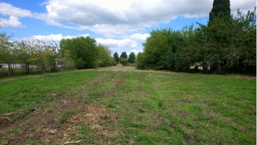 Venta Terreno 4.195 M2 En Moreno Sobre Ruta 24