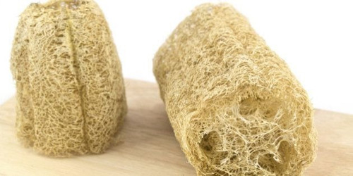 Semillas De Planta De Esponja Vegetal, Luffa 30 Unidades