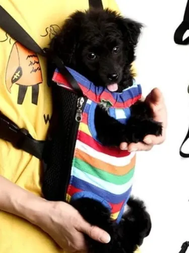 Mochilas para pasear perros new arrivals