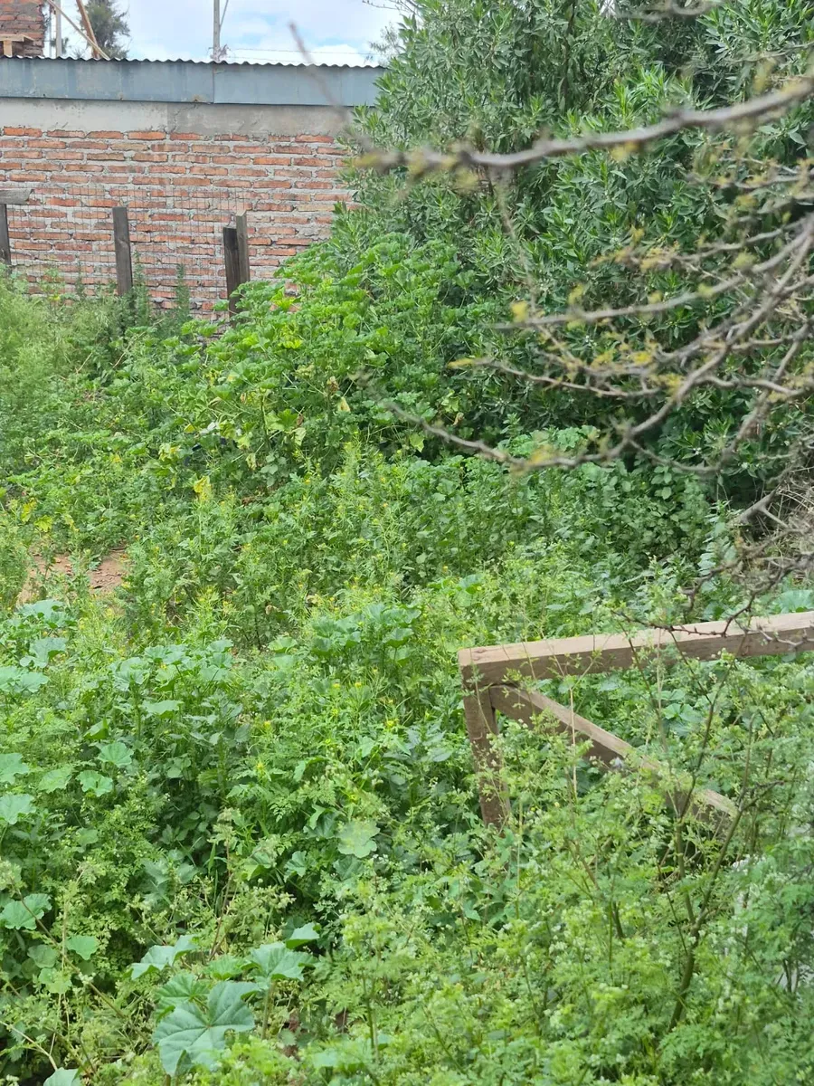 Imagen 3 de 28 de Gran Propiedad A La Venta En Calle Isabel Riquelme Lampa