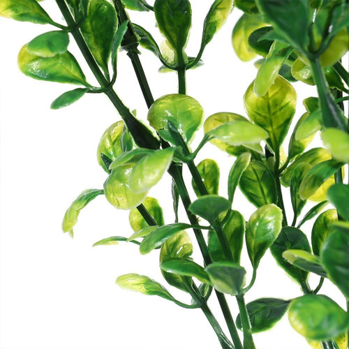 Rama De Limón-