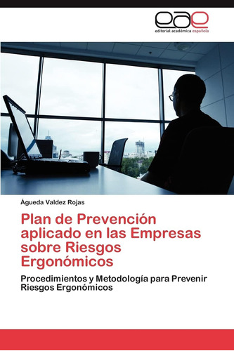 Libro: Plan De Prevención Aplicado En Las Empresas Sobre Rie