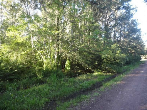 Terrenos O Lotes Venta Colonia