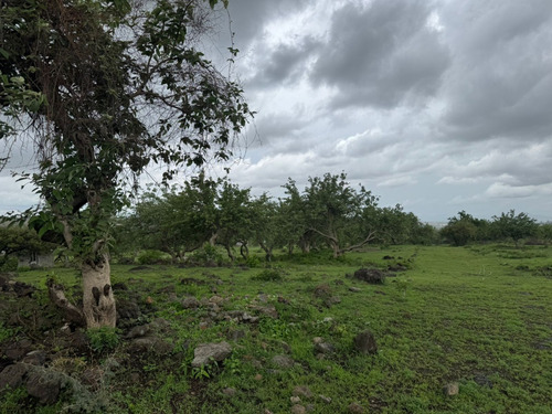 Terrenos Rusticos. A 20 Minutos De Oaxtepec.