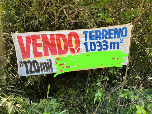 Imagem 2 de 7 de Terreno - Te00162 - 70123485
