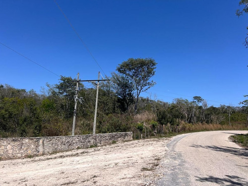 Campeche Champoton, San Fernando Terreno Venta