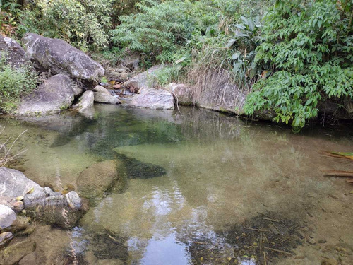 Imagem 7 de 14 de Sitio Medindo 12 Alqueires Com Cachoeira Particular