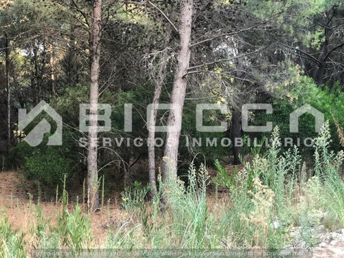 Imagen 3 de 6 de Terreno En Venta En El Pinar