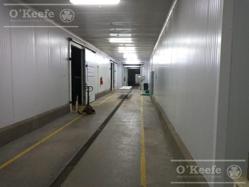 Imagen 24 de 30 de Planta De Acondicionamiento Y Frio En Venta En Concordia Entre Rios - Oportunidad
