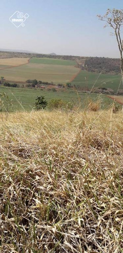 Chácara À Venda, 20.000 M² Ribeirão Preto/sp - Ch0053