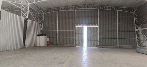 Bodega C: 540 M2 (100880)