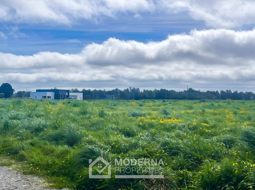 Parcela 5.593 M2 En Condominio Praderas