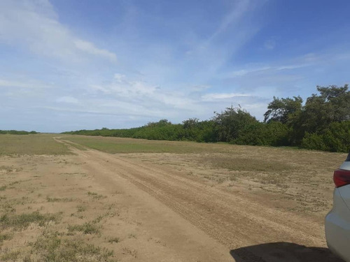 Terreno En Venta Falcón Sector El Mangle (105ha) Za