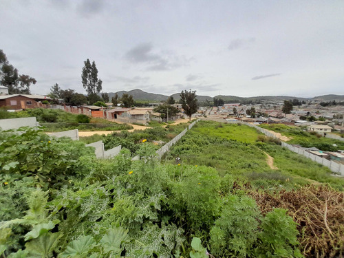 Terreno Con 11 Lotes Con Roles Propios (100748)
