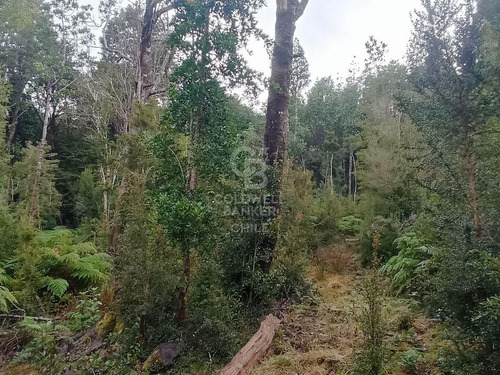 Parcela De 5000m2, Con Rol Propio D1, En Carretera Austral