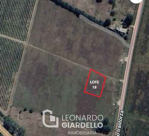 Lote 18 Viñas De Carmelo