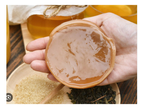 Kit Haz Tu Kombucha Bebida Probiótica Scoby + Líquido Salud