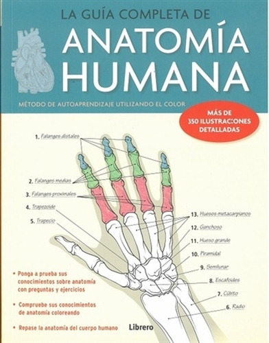 La Guia Completa De Anatomia Humana Con 350 Ilustraciones