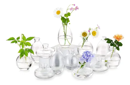 comprar Juego De 12 Floreros De Cristal, Pequeños Floreros Hechos A