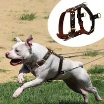 Comprar Real Cuero Perro Arneses Suave Resistente Perro Chaleco Para