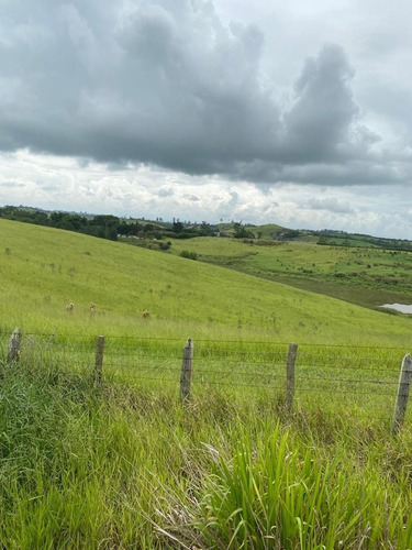 Imagem 16 de 18 de G12* Terreno Com Vista 360° Graus