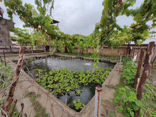 Amplio Terreno Propio En Venta Avicola 10.424 Metros Granja Avicola Con Galpones En Funcionamiento Luz Trifasica Banco Transformadores Oficina Negociable Estef 23-8117