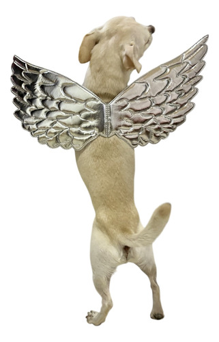 Disfraz Perro Gato Alas De Ángel Halloween Niño Pequeño Bebé