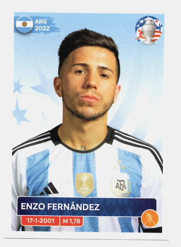 Enzo Fernandez Figurita Copa America Usa 2024 Panini #arg15