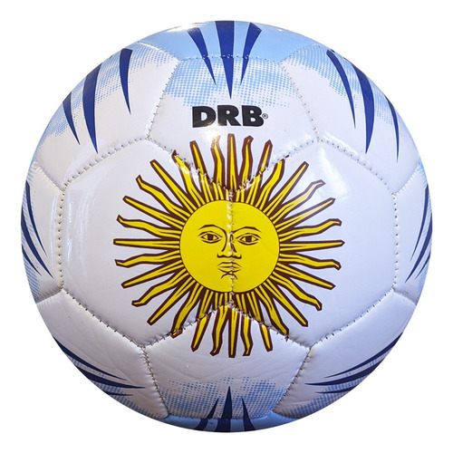 Pelota Futbol Argentina Afa Mundial Nº5 Pvc Licencia Oficial