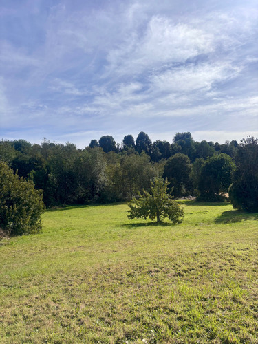 1 Hectárea Con Casa De 262m2 (91012)
