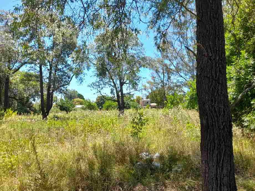 Imagen 3 de 14 de Lote En Venta En Pontevedra