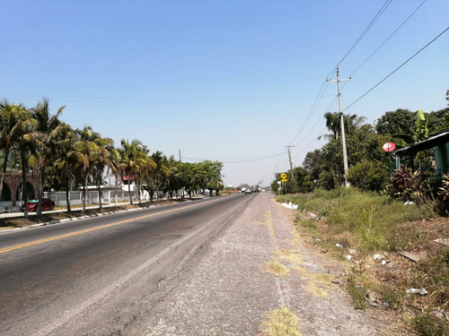 Hectáreas En Venta Veracruz Localidad El Pando, Veracruz.