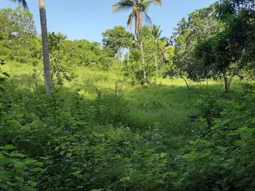 Terreno En 5,809. Metros Carretera Villa Mella- Yamasa, En Sierra Prieta