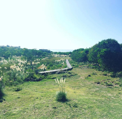 Imagen 3 de 7 de Terreno - La Pedrera
