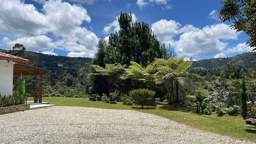 Imagen 6 de 17 de Finca En Venta Guarne Vereda La Clarita