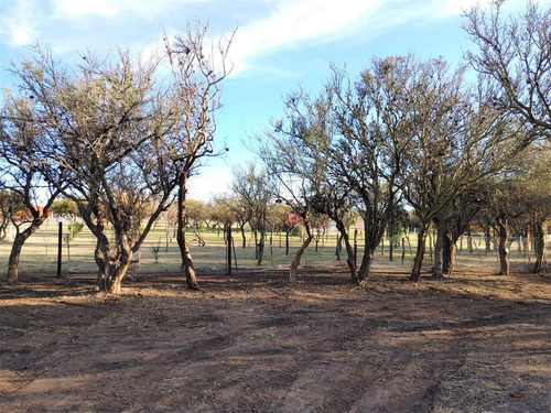 Imagen 14 de 14 de Lote De 1976,64m2 - Bosquecito De Melany