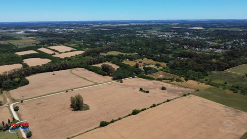 Imagen 4 de 15 de Campo Para Desarrollo Inmobiliario En Los Cardales - Reynolds Propiedades