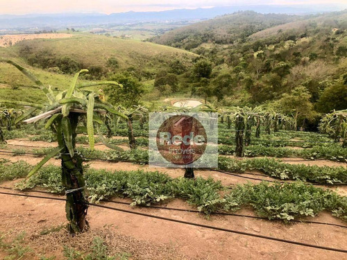 Imagem 24 de 30 de Chácara Com 2 Dormitórios, 20000 M² - Venda Por R$ 580.000,00 Ou Aluguel Por R$ 2.800,00/mês - Piedade - Caçapava/sp - Ch0136