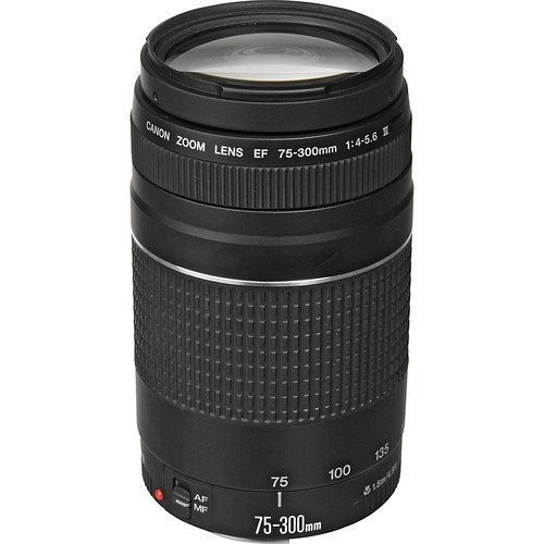 Canon Ef 75-300mm F / 4-5.6 Iii Teleobjetivo Lente Zoom Para (Reacondicionado)