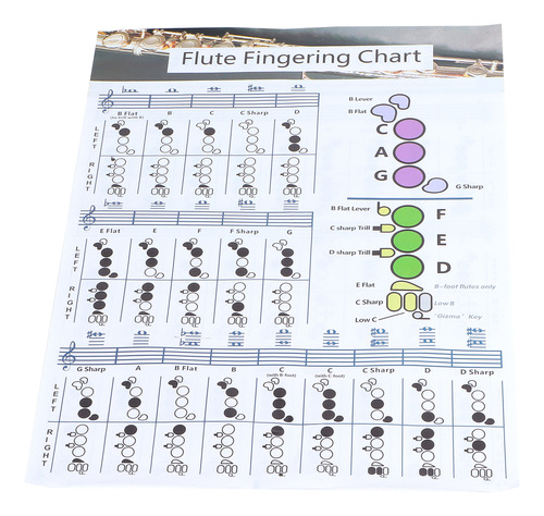 Tabla De Acordes De Digitación De Flauta, Práctica Para Estu