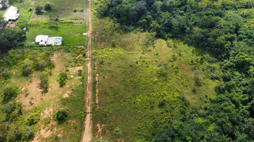 Skay Group Vende Terrenos En Fundo Sabana Del Medio, Barrera Norte, Municipio Libertador, Carabobo. Luz Coelho.