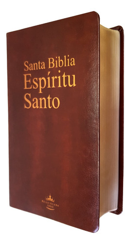 Santa Biblia Espíritu Santo Reina Valera 1960 De Estudio