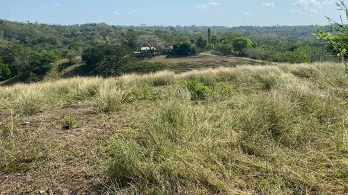 Finca En Venta En Salitral