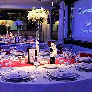 Imagen 2 de 10 de Cielo Fiestas Y Eventos