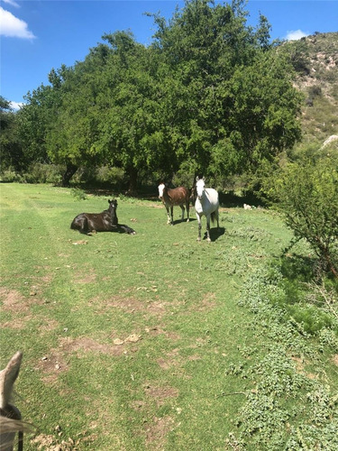 Terreno En Villa De Soto Córdoba