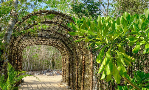 En Venta Lotes Ecológicos En Tulum (237)