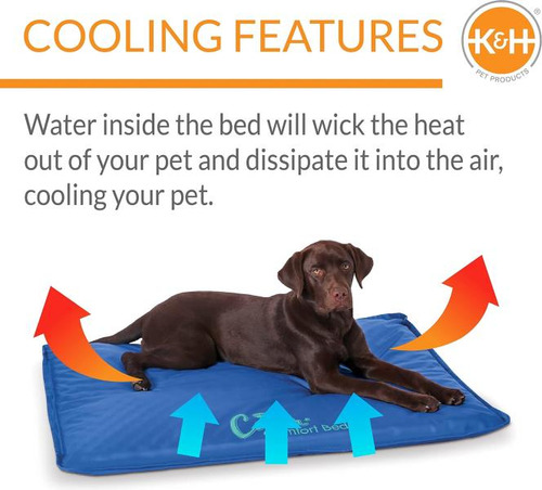 Alfombra Ortopédica Coolin Comfort De K&h Pet Products