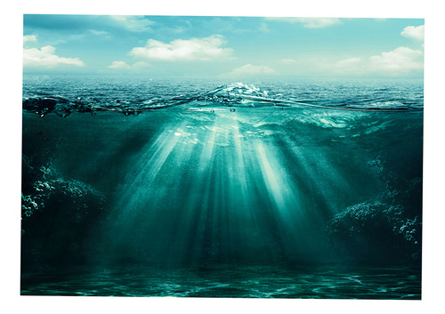 Cartel De Paisaje De Acuario 76x46cm