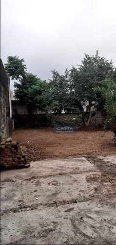Imagem 23 de 30 de Terreno À Venda Na Vila Carmosina - Te1683