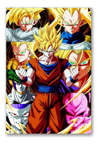 Poster Dragon Ball Super Z  48cmx33cm Calidad Goku Vegeta